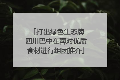 打出绿色生态牌 四川巴中在蓉对优质食材进行组团推介