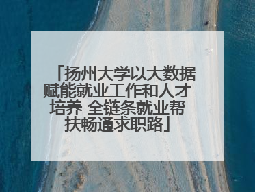 扬州大学以大数据赋能就业工作和人才培养 全链条就业帮扶畅通求职路