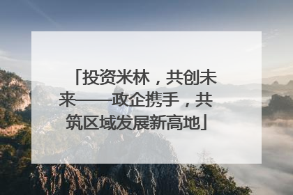 投资米林，共创未来——政企携手，共筑区域发展新高地