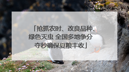 抢抓农时、改良品种、绿色灭虫 全国多地争分夺秒确保夏粮丰收