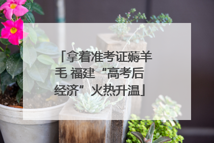 拿着准考证薅羊毛 福建“高考后经济”火热升温