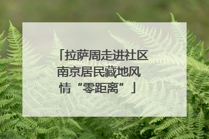 拉萨周走进社区 南京居民藏地风情“零距离”