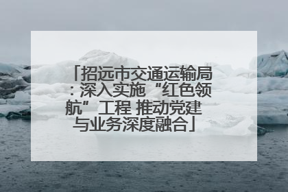 招远市交通运输局：深入实施“红色领航”工程 推动党建与业务深度融合