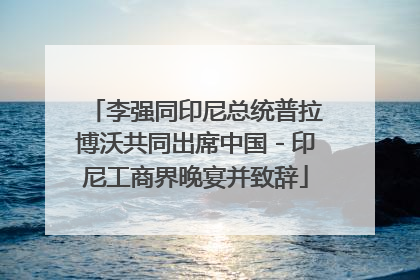 李强同印尼总统普拉博沃共同出席中国－印尼工商界晚宴并致辞