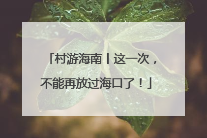 村游海南丨这一次，不能再放过海口了！