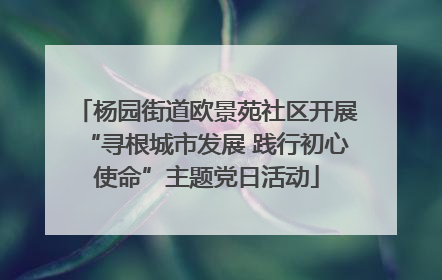 杨园街道欧景苑社区开展“寻根城市发展 践行初心使命”主题党日活动