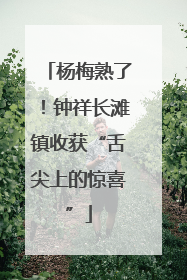 杨梅熟了！钟祥长滩镇收获“舌尖上的惊喜”