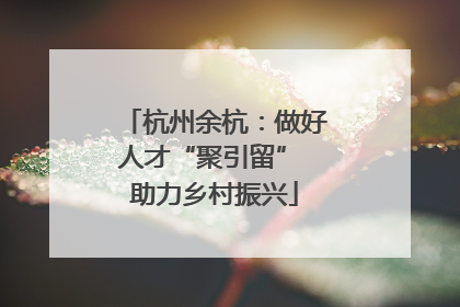 杭州余杭：做好人才“聚引留” 助力乡村振兴