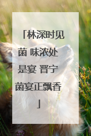 林深时见菌 味浓处是宴 晋宁菌宴正飘香