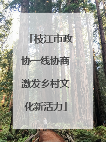 枝江市政协一线协商激发乡村文化新活力