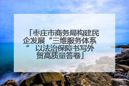 枣庄市商务局构建民企发展“三维服务体系” 以法治保障书写外贸高质量答卷