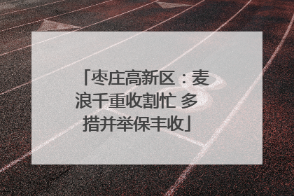 枣庄高新区：麦浪千重收割忙 多措并举保丰收
