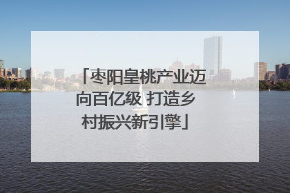 枣阳皇桃产业迈向百亿级 打造乡村振兴新引擎