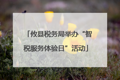 攸县税务局举办“智税服务体验日”活动
