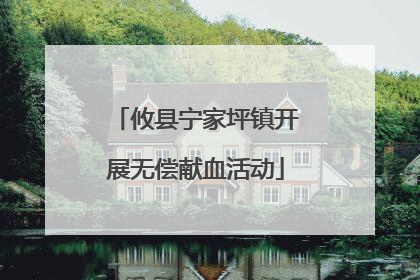 攸县宁家坪镇开展无偿献血活动