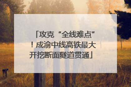 攻克“全线难点”！成渝中线高铁最大开挖断面隧道贯通