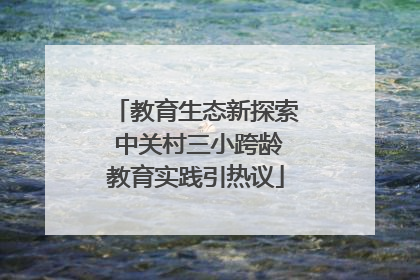 教育生态新探索 中关村三小跨龄教育实践引热议