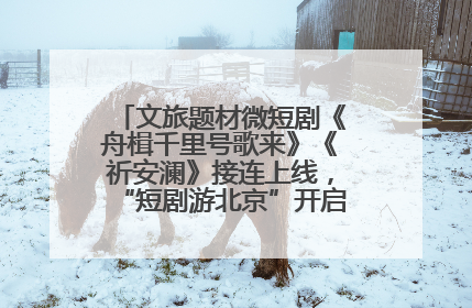 文旅题材微短剧《舟楫千里号歌来》《祈安澜》接连上线，“短剧游北京”开启大运河文化之旅