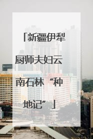 新疆伊犁厨师夫妇云南石林“种地记”