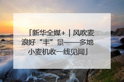 新华全媒+｜风吹麦浪好“丰”景——多地小麦机收一线见闻