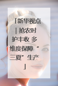 新华视点｜抢农时 护丰收 多维度保障“三夏”生产