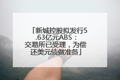 新城控股拟发行5.63亿元ABS：交易所已受理，为偿还美元债做准备