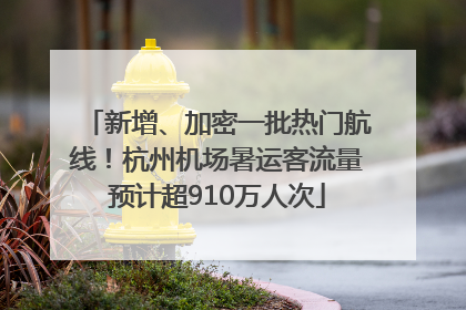 新增、加密一批热门航线！杭州机场暑运客流量预计超910万人次