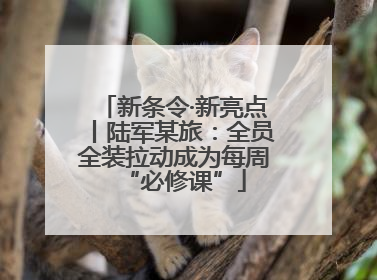 新条令·新亮点丨陆军某旅：全员全装拉动成为每周“必修课”