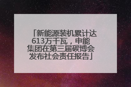 新能源装机累计达613万千瓦，申能集团在第三届碳博会发布社会责任报告