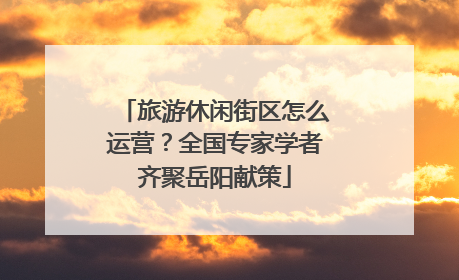 旅游休闲街区怎么运营？全国专家学者齐聚岳阳献策