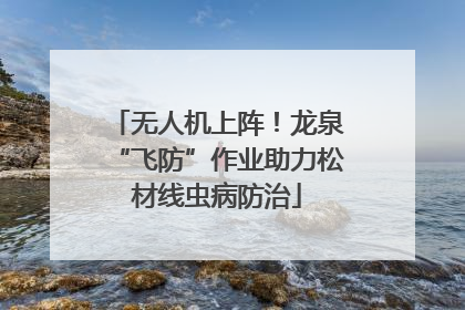 无人机上阵！龙泉“飞防”作业助力松材线虫病防治
