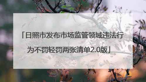 日照市发布市场监管领域违法行为不罚轻罚两张清单2.0版