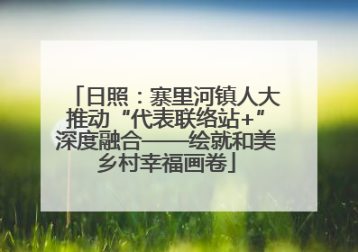 日照：寨里河镇人大推动“代表联络站+”深度融合——绘就和美乡村幸福画卷