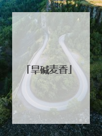 旱碱麦香