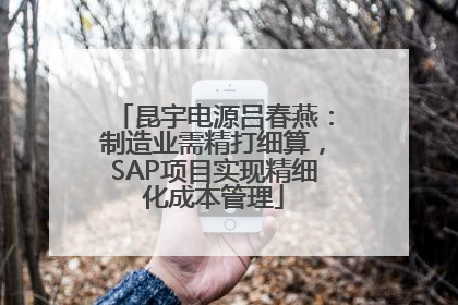 昆宇电源吕春燕：制造业需精打细算，SAP项目实现精细化成本管理