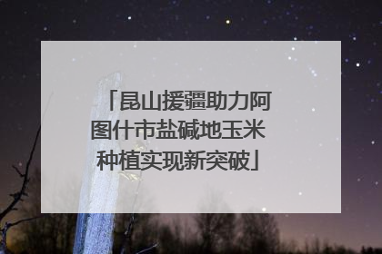 昆山援疆助力阿图什市盐碱地玉米种植实现新突破