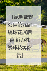 昆明郊野公园第九届绣球花展启幕 近万株绣球花等你赏