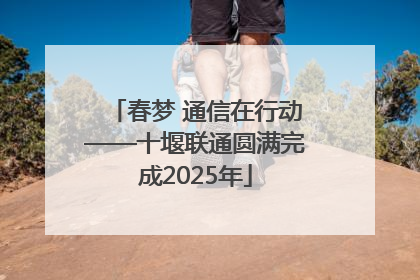春梦 通信在行动——十堰联通圆满完成2025年