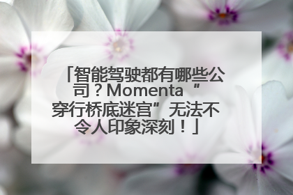 智能驾驶都有哪些公司？Momenta“穿行桥底迷宫”无法不令人印象深刻！