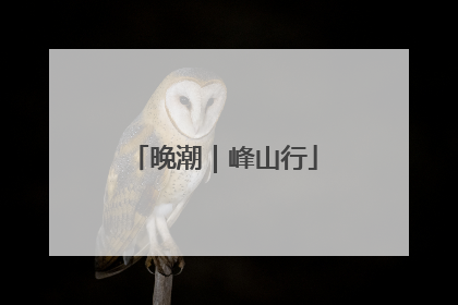 晚潮｜峰山行