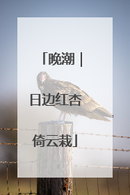 晚潮｜日边红杏倚云栽