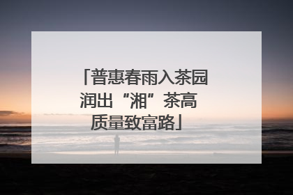 普惠春雨入茶园 润出“湘”茶高质量致富路