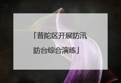 普陀区开展防汛防台综合演练