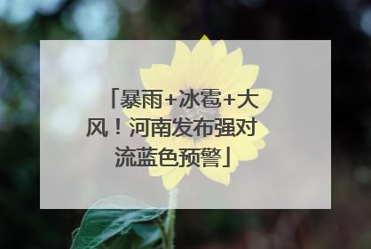 暴雨+冰雹+大风！河南发布强对流蓝色预警