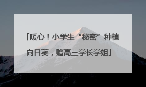 暖心！小学生“秘密”种植向日葵，赠高三学长学姐