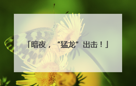 暗夜，“猛龙”出击！