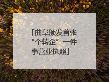 曲阜颁发首张“个转企”一件事营业执照