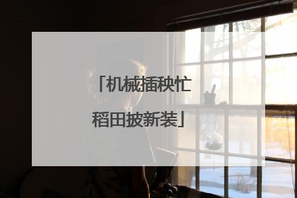 机械插秧忙 稻田披新装