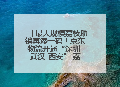 最大规模荔枝助销再添一码！京东物流开通“深圳-武汉-西安” 荔枝全货机航线