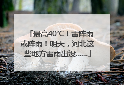 最高40℃！雷阵雨或阵雨！明天，河北这些地方雷雨出没……